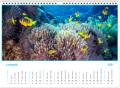 kalendarz_2021_clownfish_listopad