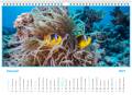 kalendarz_2021_clownfish_sierpien