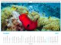 kalendarz_2021_clownfish_grudzien